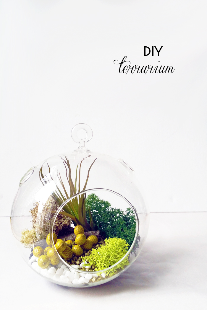 DIY Terrarium