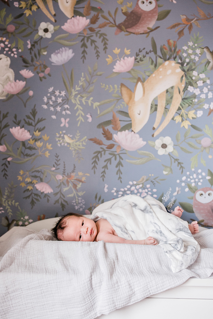 Home Decor :: Baby Everett's Nursery Reveal – My Little Secrets